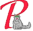 P is for Pixel the tabby cat